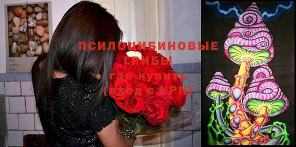 скорость Арсеньев
